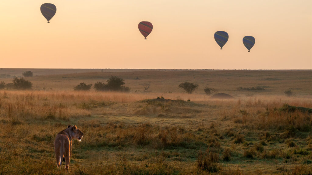 masai-mara-balloon-safari